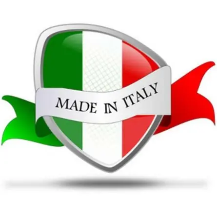 Logo made in Italy