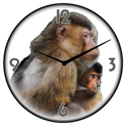 Orologio da parete scimmia...