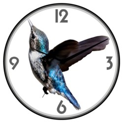 Orologio da parete colibri...