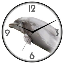 Orologio da parete delfino...