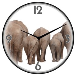 Orologio da parete elefanti...