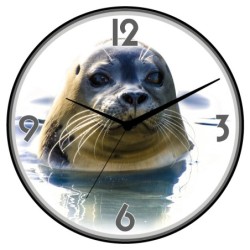 Orologio da parete foca...