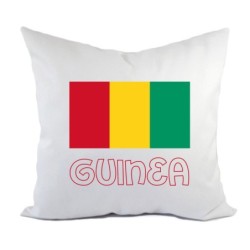Cuscino divano letto Guinea bandiera federa e imbottitura 40x40 cm in poliestere