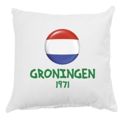 Cuscino Groningen Olanda con federa 40x40 letto divano 54 federa  in poliestere